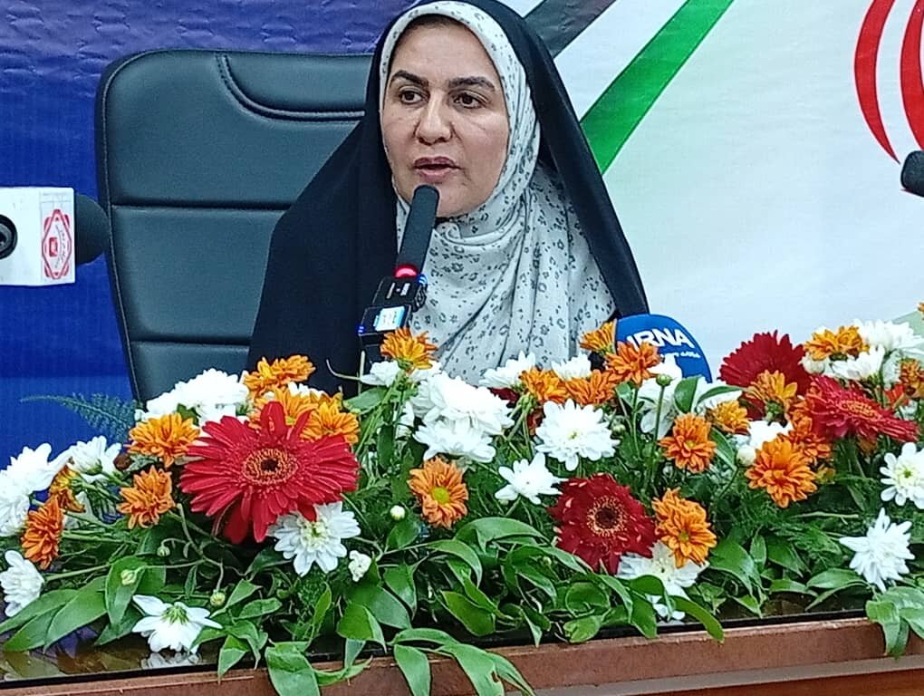 فرماندار: جیرفت «شهر مجیدزاده» و شناسنامه فرهنگی تمدن منطقه است