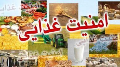 لزوم تسریع اجرای سند امنیت غذایی کشور / بررسی سند تامین آب سالم بزودی