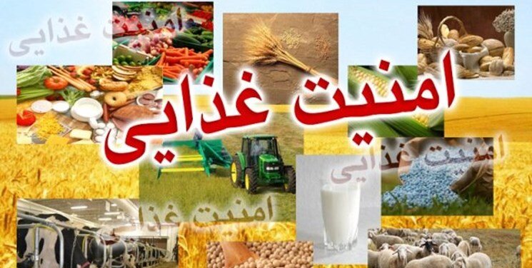 لزوم تسریع اجرای سند امنیت غذایی کشور / بررسی سند تامین آب سالم بزودی