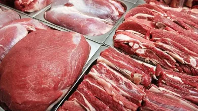ماجرای مجوز عرضه گوشت الاغ و اسب چیست؟ توضیح رئیس شورای تأمین دام + جزئیات