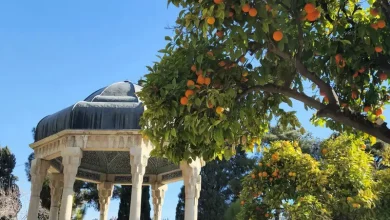 sara-pashakhanlou-ci5zmnatxok-unsplash-67ffb404ac77ad9327be9ebc