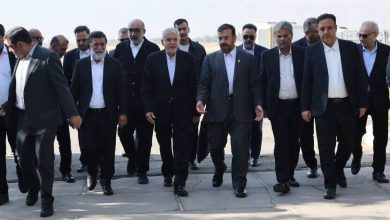 وزیر میراث فرهنگی وارد شیراز شد