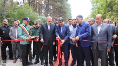 چهارمین جشنواره ملی نان در کرمان افتتاح شد