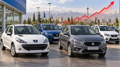 کدام برندها بیشترین خودرو را در ایران دارند؟ سهم چینی ها از بازار ایران مشخص شد